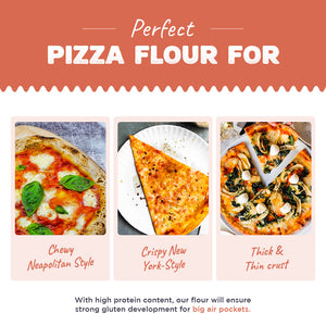 00 Pizza Flour institutional pack